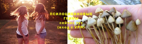 спиды Абдулино