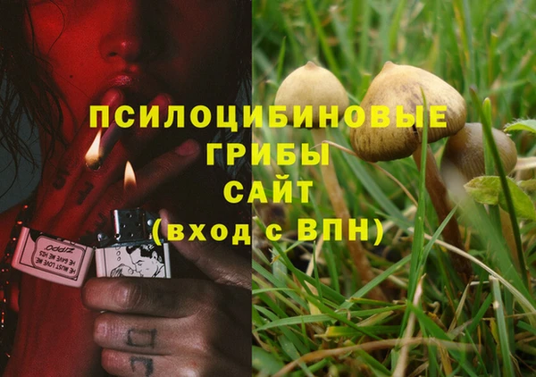 спиды Абдулино