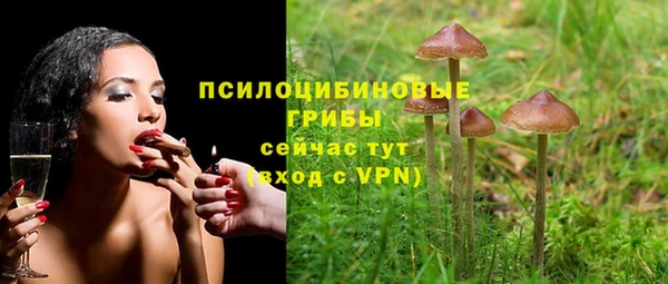 спиды Абдулино