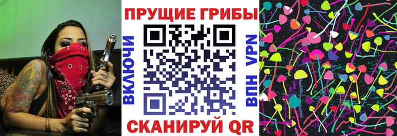 купить  сайты  Новопавловск  Псилоцибиновые грибы прущие грибы 